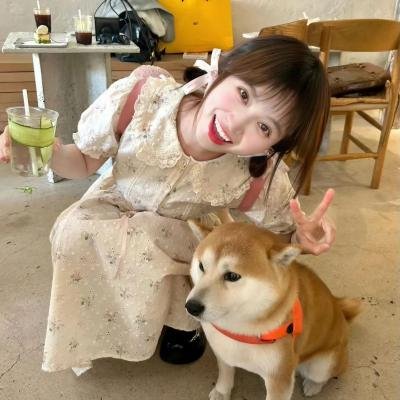 巧克力猫王